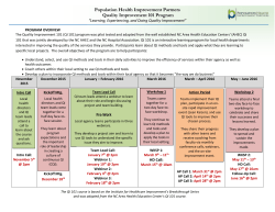 Tool: Program Timeline/Overview Example