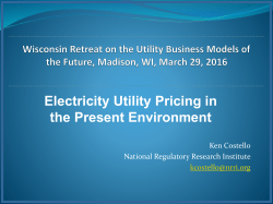 Electricity Utility Pricing in the Present Environment