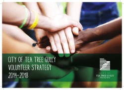 CITY OF TEA TREE GULLY Volunteer Strategy 2014&ndash;2018