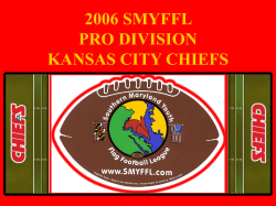 pro division vikings