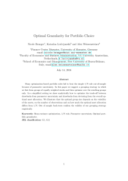 Optimal Granularity for Portfolio Choice