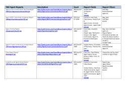 TBO Agent Reports Description Excel Report Fields Report Filters