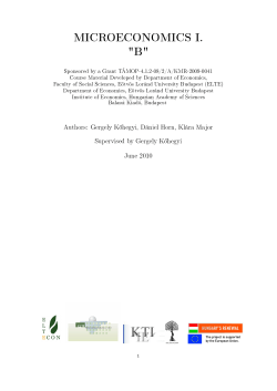 MICROECONOMICS I. "B"