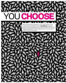 Choosing a consultant