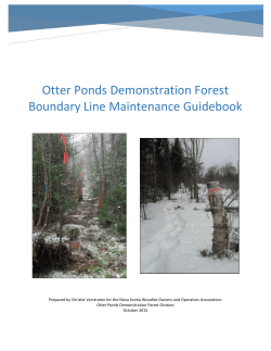 Otter Ponds Demonstration Forest Boundary Line Maintenance