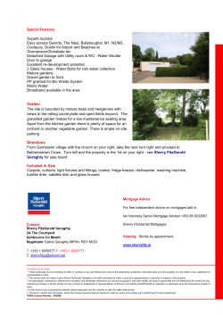 Carpets, curtains, light fixtures and fittings