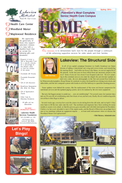 Lakeview: The Structural Side Let`s Play Bingo!