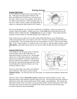 Sensing Energy