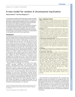 A new model for random X chromosome inactivation