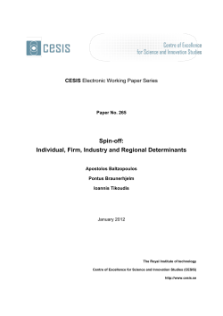 Spin-off: Individual, Firm, Industry and Regional
