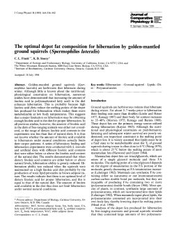 The optimal depot fat composition for hibernation