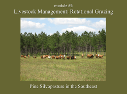 Rotational grazing vs. continuous grazing