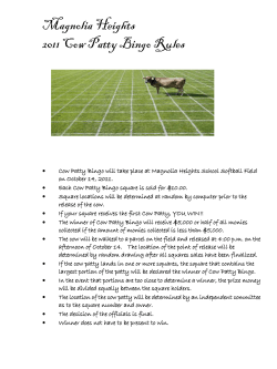 Magnolia Heights Cow Patty Bingo Rules