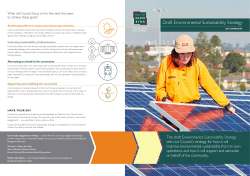 Overview - draft Environmental Sustainability Strategy