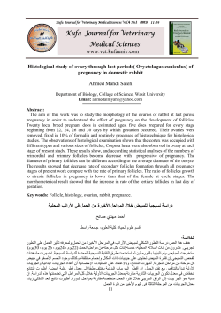 Histological study of ovary through last periods