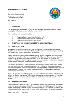 BRADWAY PRIMARY SCHOOL Curriculum Development Positive