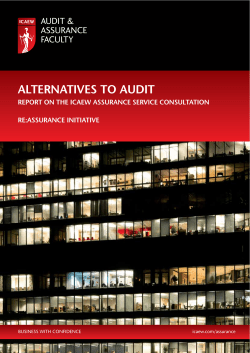 alternatives to audit