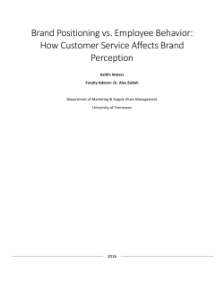 Appendix A: Description of Brand Personality