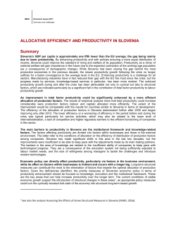 allocative efficiency and productivity in Slovenia