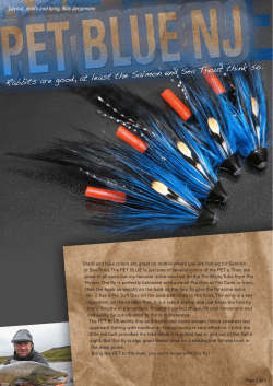 Rabbits are good, at least the Salmon and Sea Trout think so.