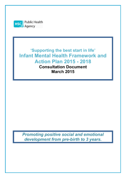 Infant Mental Health Framework and Action Plan 2015