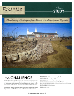 Coordinating Hardscapes from Rosetta Tie Development Together