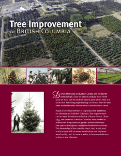 Demand for wood products in Canada and worldwide remains high