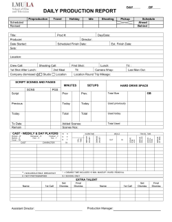 daily production report
