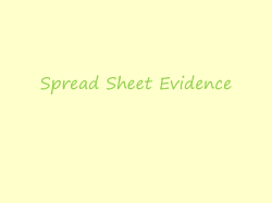 Spread Sheet Evidence