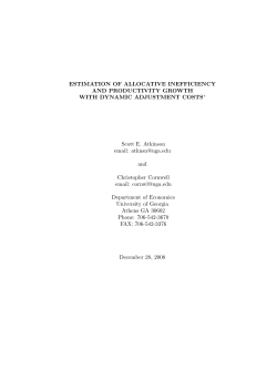Estimation of Allocative Efficiency and Productivity Growth with