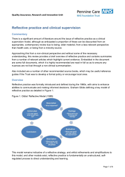 Literature Review - Symmetric Partnership