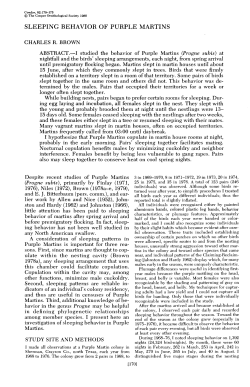 Sleeping Behavior of Purple Martins