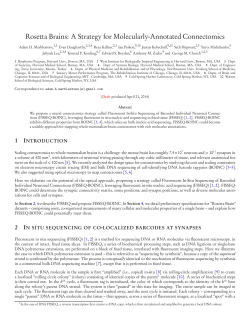 Rosetta Brains: A Strategy for Molecularly