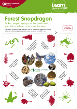 Forest Snapdragon - Forestry Commission