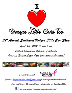 37th Annual Southwest Unique Little Car Show