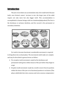 Tooth Eruption