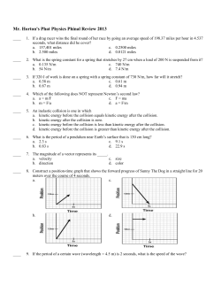 Mr. Horton`s Phat Physics Phinal Review 2013