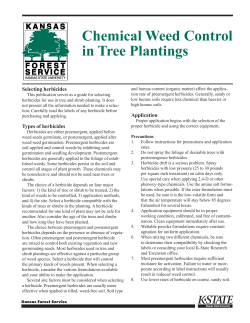 MF656 Chemical Weed Control in Tree Plantings