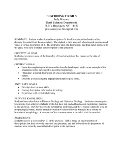 Handout for Exercise