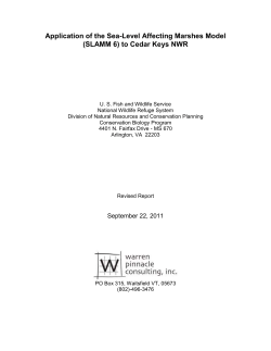 slamm 4 - Warren Pinnacle Consulting, Inc.