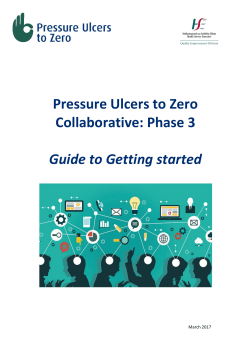 Pressure Ulcers to Zero Guide to Getting Started