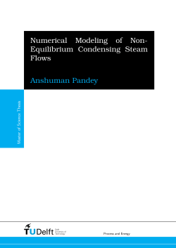 Numerical Modeling of Non-Equilibrium Condensing Steam Flows