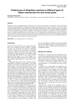 Preferences of Sitophilus zeamais to different types of Italian