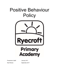 Behaviour &ndash; serious incident record