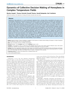 Dynamics of Collective Decision Making of Honeybees in Complex