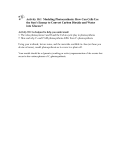 Activity 10 Homework Answer Key