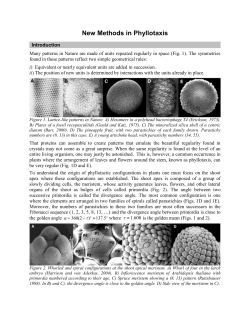 New Methods in Phyllotaxis - Smith College Mathematics Department.