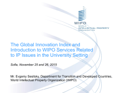 The Global Innovation Index and Introduction to WIPO Services