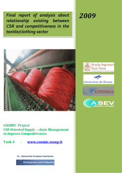 CSR and Competitiveness Report COSMIC
