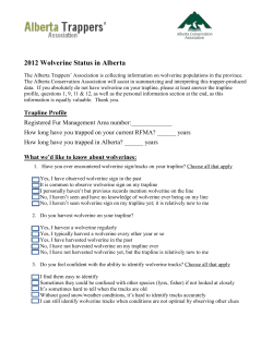 ACA Lethbridge Office Letterhead